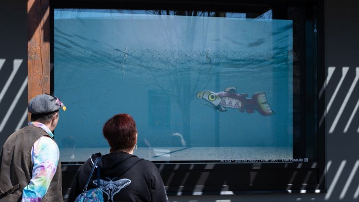 Visitors Experience the Window Media Gallery HE LAST OF US — CONTINOUSLY GENERATING ANIMATION Audience viewing digital artwork on the LED wall at the Comox Valley Art Gallery.